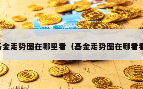 基金走势图在哪里看（基金走势图在哪看看）