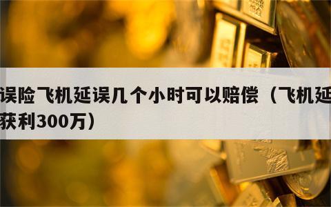 延误险飞机延误几个小时可以赔偿（飞机延误险获利300万）