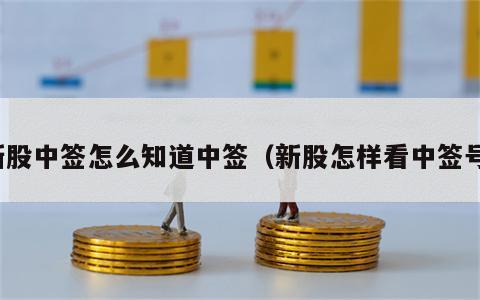 新股中签怎么知道中签（新股怎样看中签号）