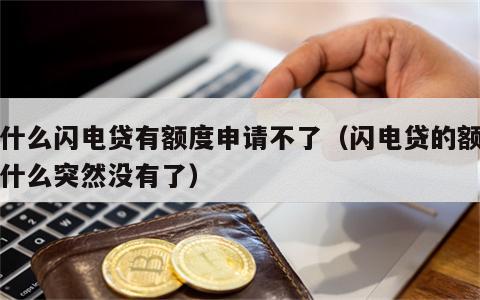 为什么闪电贷有额度申请不了（闪电贷的额度为什么突然没有了）