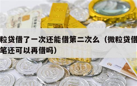 微粒贷借了一次还能借第二次么（微粒贷借了一笔还可以再借吗）
