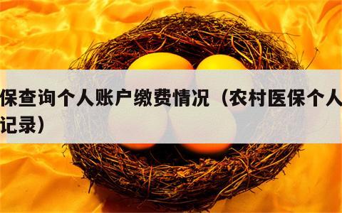 农保查询个人账户缴费情况（农村医保个人缴费记录）
