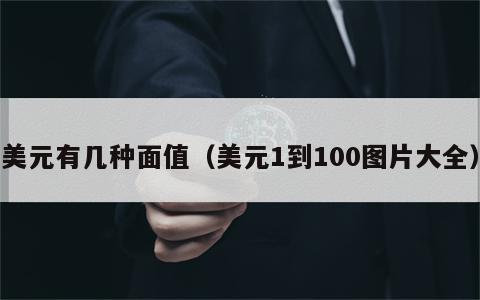 美元有几种面值（美元1到100图片大全）