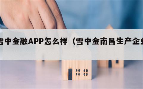 雪中金融APP怎么样（雪中金南昌生产企业）