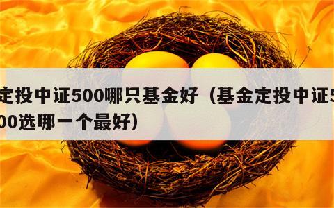定投中证500哪只基金好（基金定投中证500选哪一个最好）