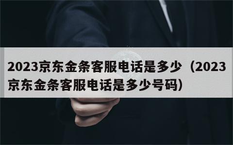 2023京东金条客服电话是多少（2023京东金条客服电话是多少号码）