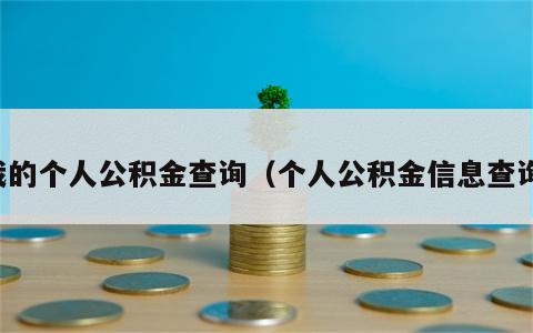 我的个人公积金查询（个人公积金信息查询）