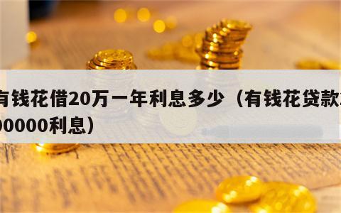 有钱花借20万一年利息多少（有钱花贷款200000利息）
