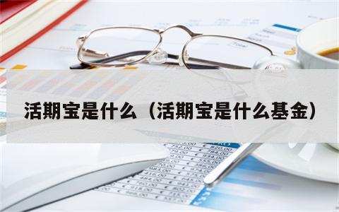活期宝是什么（活期宝是什么基金）