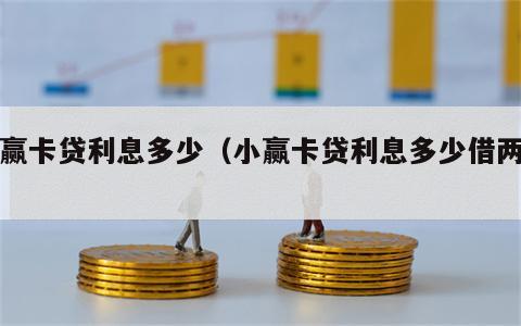 小赢卡贷利息多少（小赢卡贷利息多少借两万）