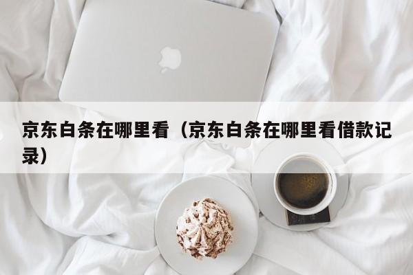 京东白条在哪里看（京东白条在哪里看借款记录）