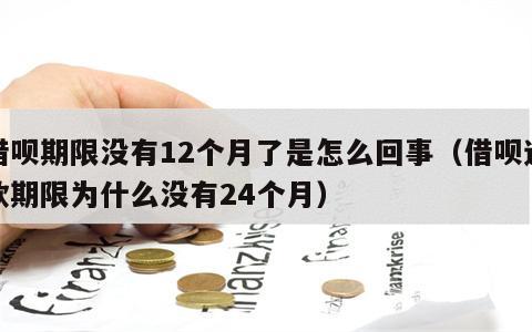 借呗期限没有12个月了是怎么回事（借呗还款期限为什么没有24个月）